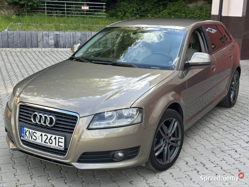Audi a3 2009 19 tdi 105 lift Grybów