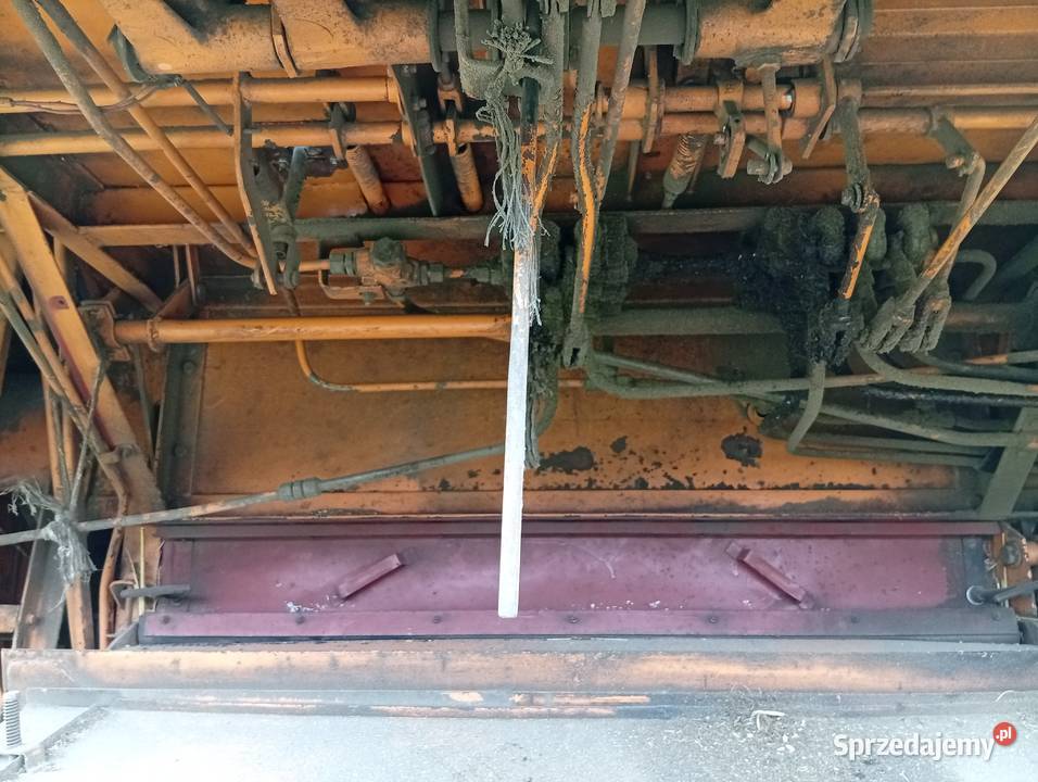 Sprzedam bizona ZO56 Boczki Chełmońskie sprzedam