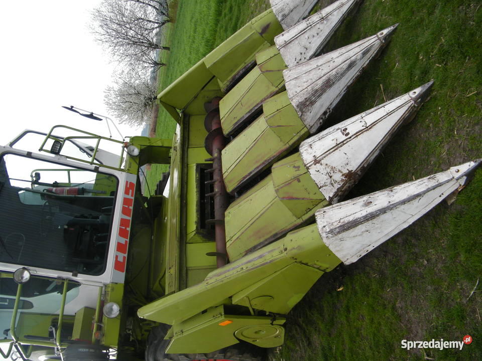 przystawka do kukurydzy claas 4x75 zcieciem lody wielkopolskie Pieruszyce