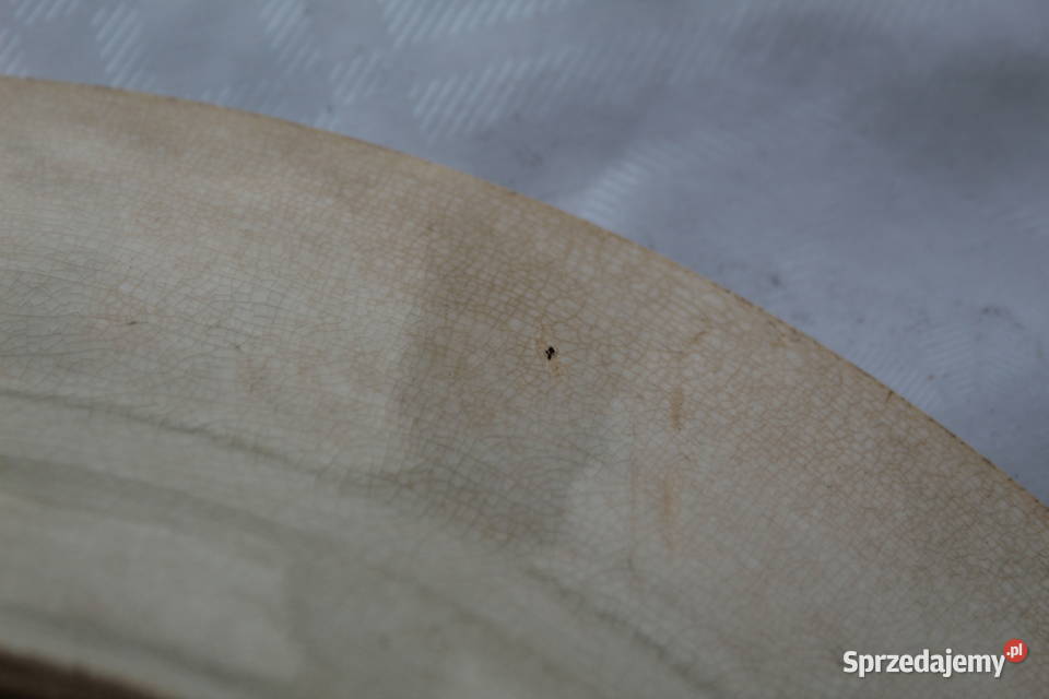 Villeroy Boch Talerz Dekoracyjny 325 Pejzaż 6865