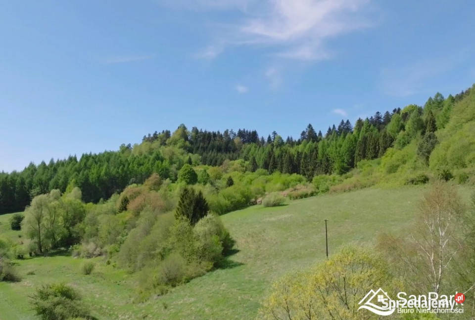 Działka 9277m2 Hoszów