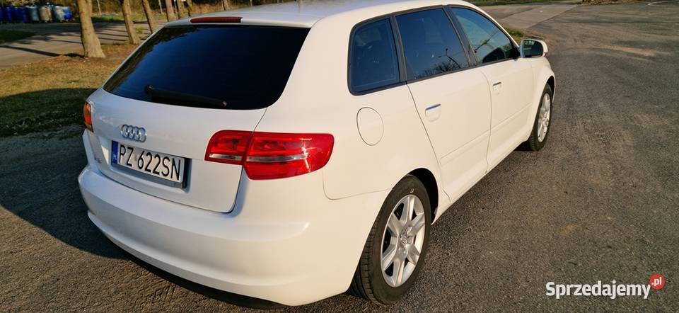 Audi A3 Zalasewo