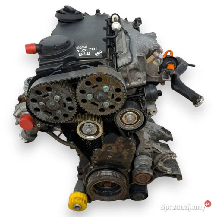 SILNIK BLB Audi A4 B7 A6 C6 20 TDI 140 diesel osobowe Silniki kompletne Chełm sprzedam