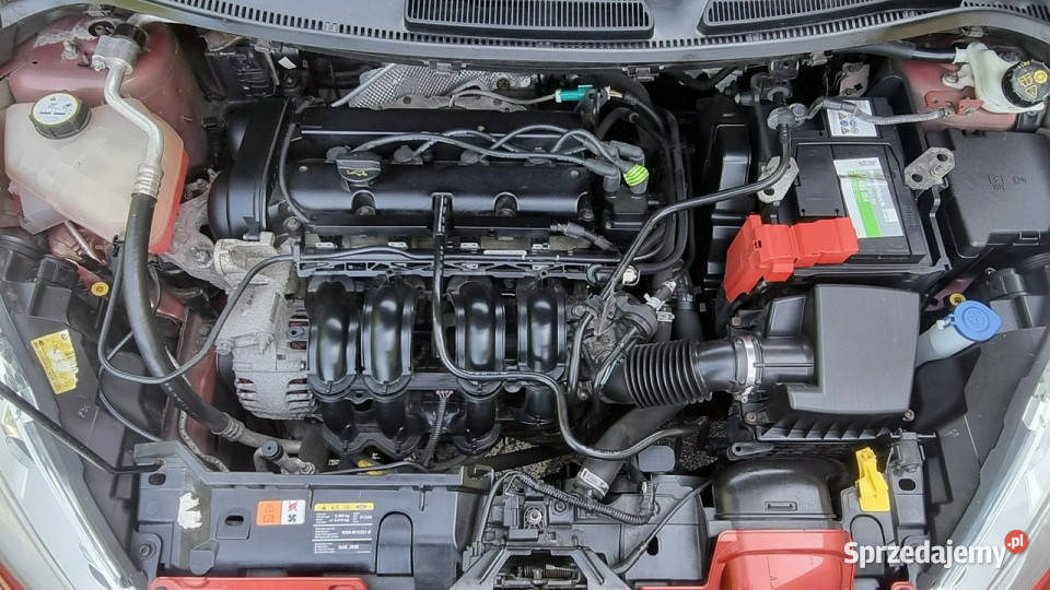 Ford Fiesta Super stan Alu Prosty Silnik mazowieckie Płońsk