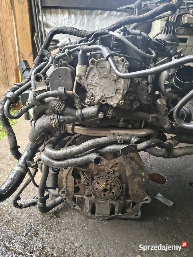 Silnik 20 TDI CBAB Pinczyn sprzedam
