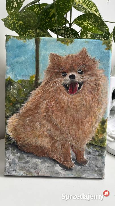 Obrazek olejny na płótnie 18x24 Piesek Świebodzin