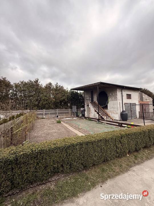 IDEALNY DOM DWÓCH RODZIN DĄBIE PRUSA drewniane Sprzedaż Dąbie