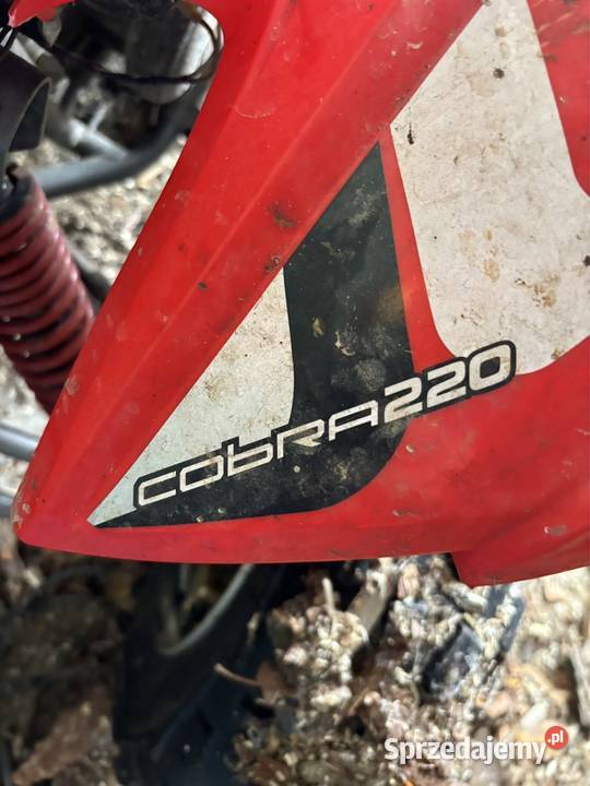 Quad Aeon Cobra 220 Aeon Kielce sprzedam