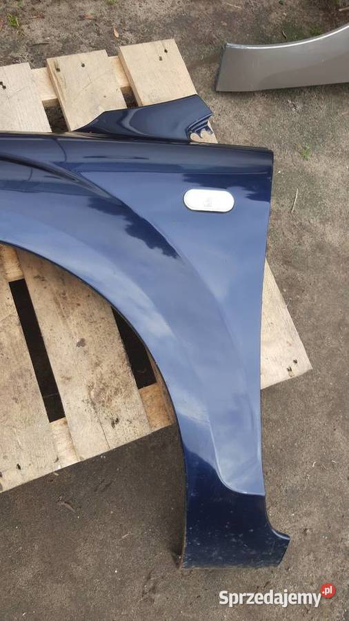 błotnik prawy lewy przód Ford Focus mk2 lak 23 osobowe sprzedam