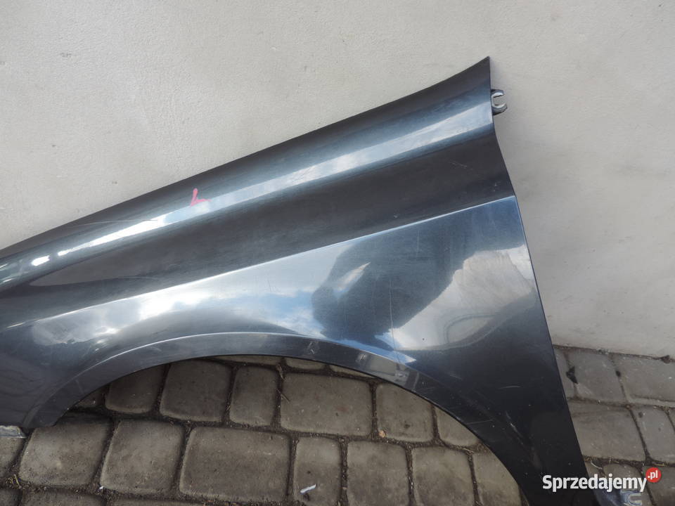 RENO LAGUNA 2 II BŁOTNIK LEWY PRZEDNI TEB66 Nowy Sącz