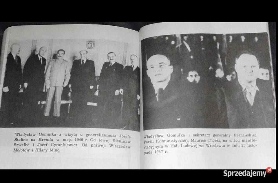 Polityczne dylematy Gomułki B Syzdek E Syzdek Chełm sprzedam