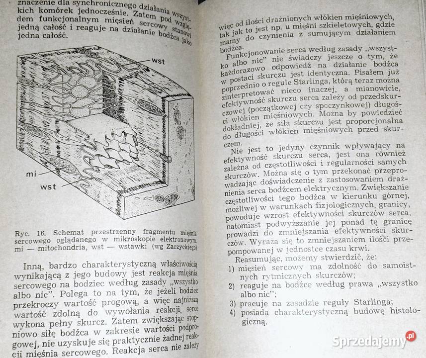 Automatyzm pracy serca Bronisław Cymborowski Rok wydania 1974 lubelskie Chełm