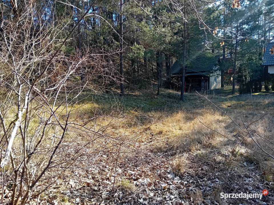 Syndyk sprzeda nieruchomość wczasową Martiany