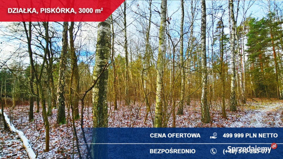 Działka budowlana 3000 m LESIE Piskórka gm 166zł/m2 Sprzedaż