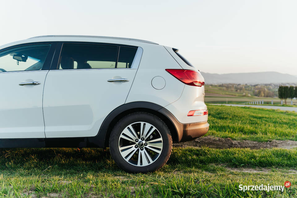 Kia sportage 2015 Sportage