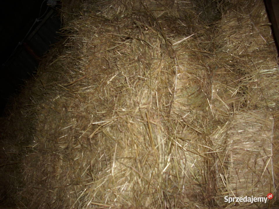 Sprzedam siano w kostkach Zakliczyn