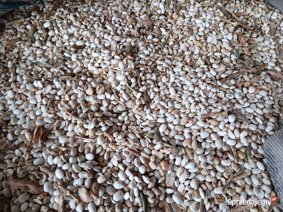 Fasola pellet pasza Zamość sprzedam