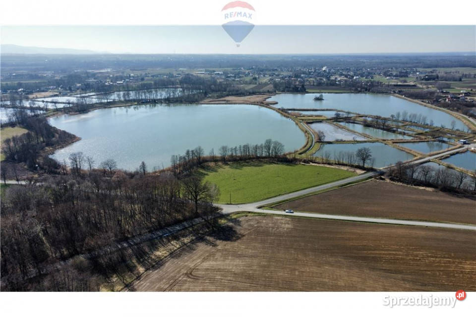 Działka usługowa Osiek kKęt