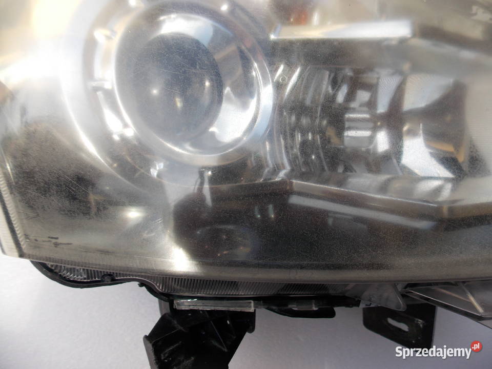Reflektor przedni xenon Renault Koleos I prawy Łosice