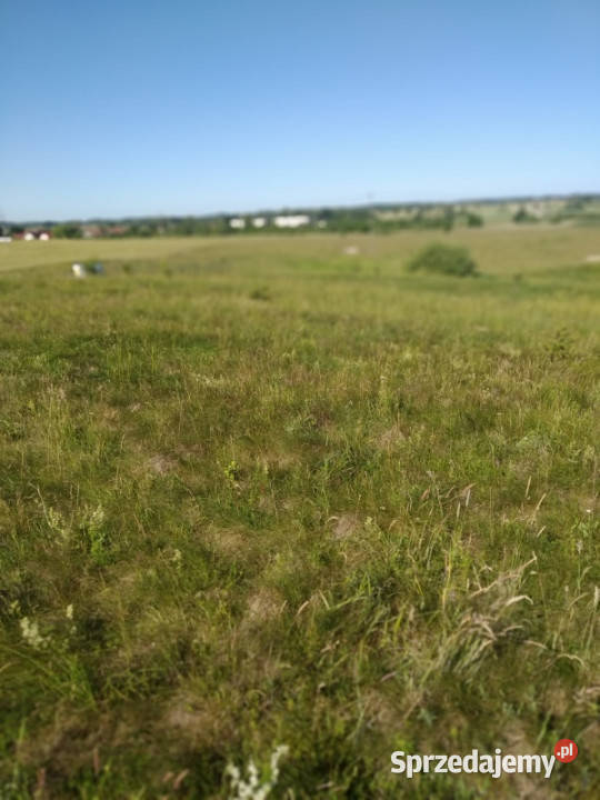 do miasta i do lasu z działki budowlana Jesionowo