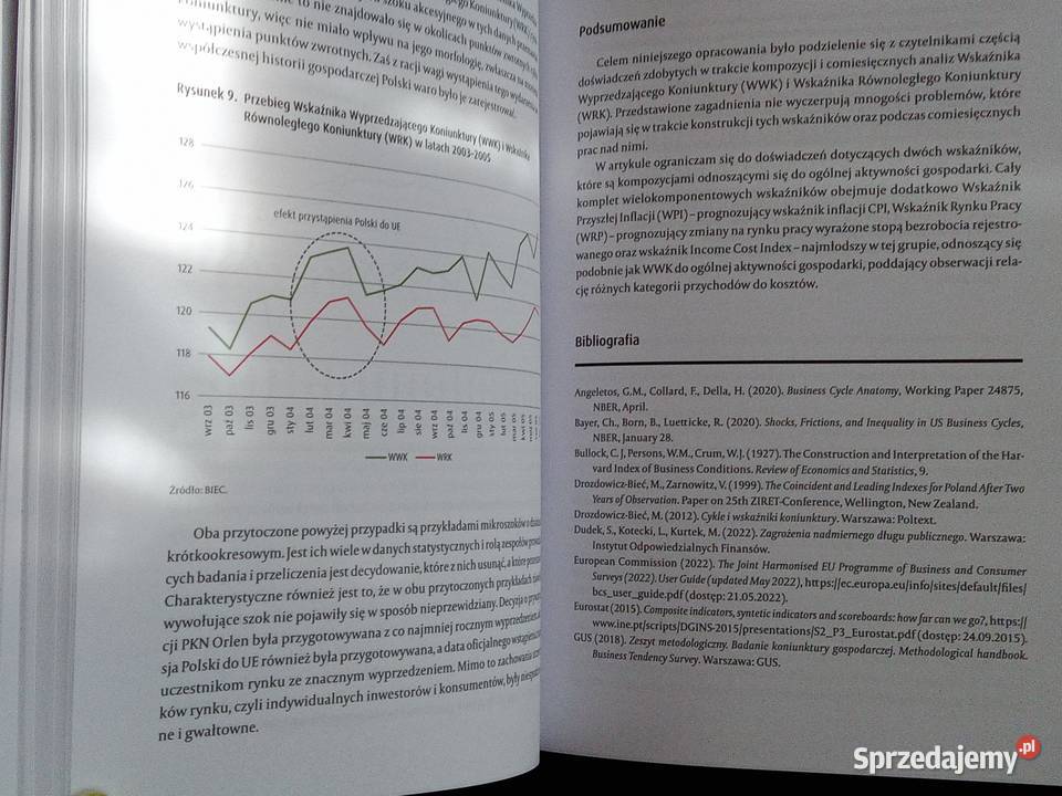 Monografia Monitorowanie działalności ISBN 9788380306158 Legionowo