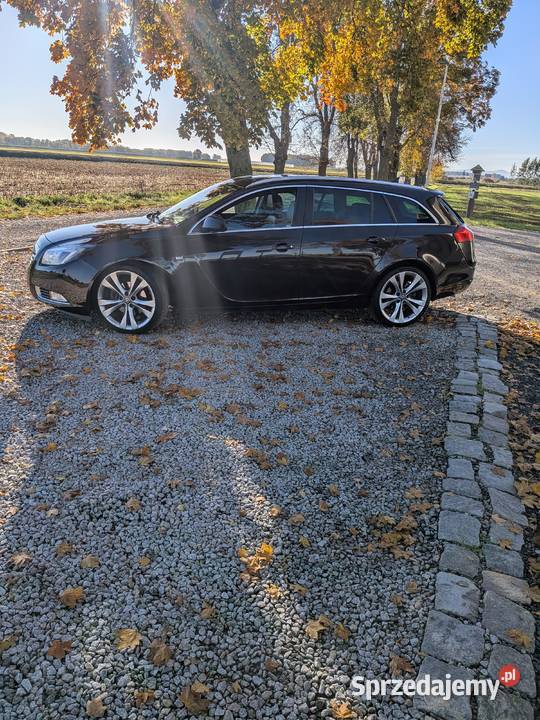 Opel Insignia 2011 r 20 CDTI ecoFlex DPF OFF Insignia Nysa