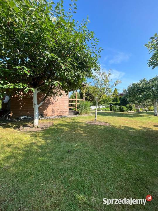 DZIAŁKA ROD STOKROTKASprzedam