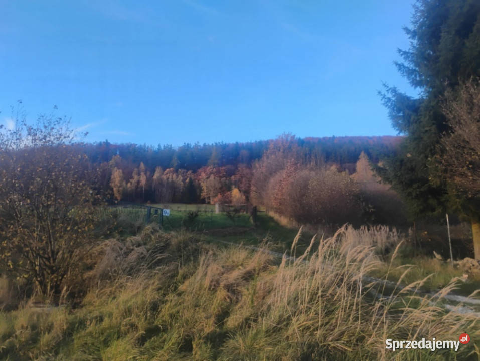 Sprzedam działkę z pięknym widokiem i świetnym budowlana Radochów sprzedam