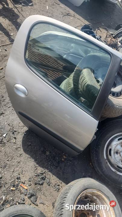 Drzwi prawe przód przednie tył tylne Peugeot 206 Książ Wielkopolski