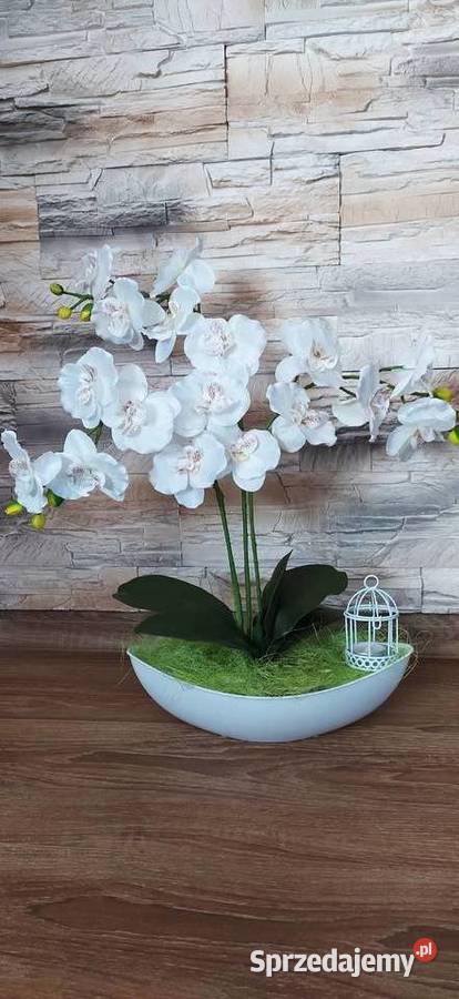 Storczyki sztuczne Sędziszów Małopolski