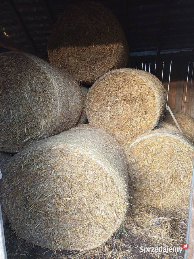 Sprzedam słomę pszenną Sułów sprzedam