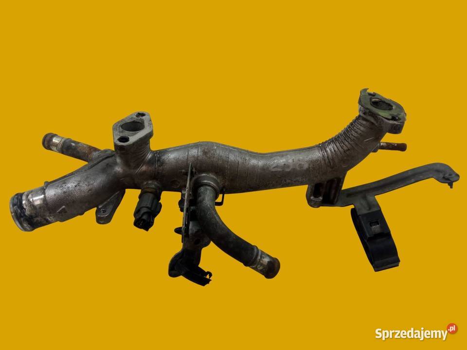 RURA WODY 35 B Nissan Murano I 20032008 Z50 Węże chłodnicy świętokrzyskie sprzedam