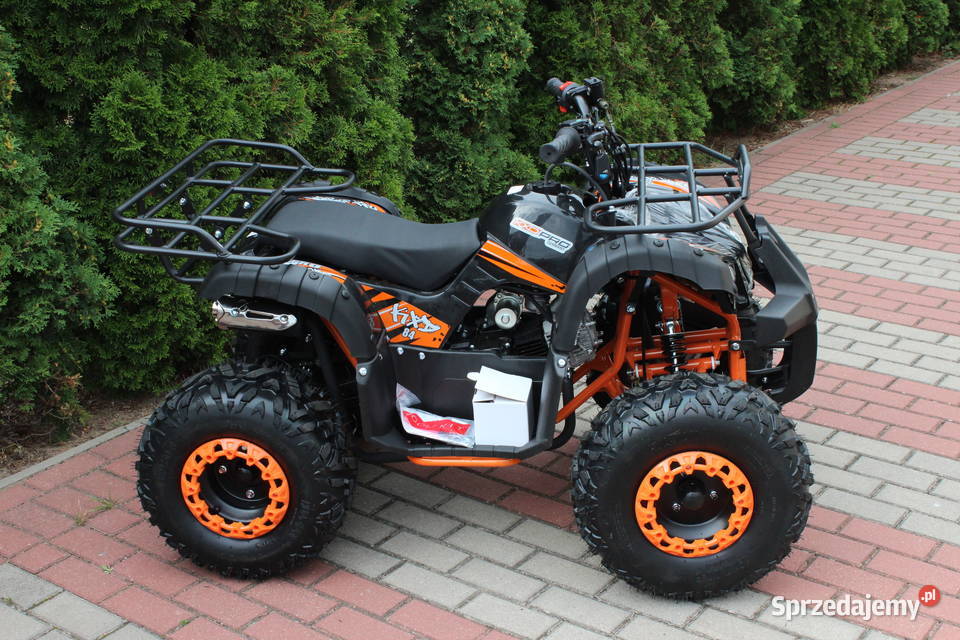 Quad Hammer 125 średni 31 dzieci młodzieży Goleniów