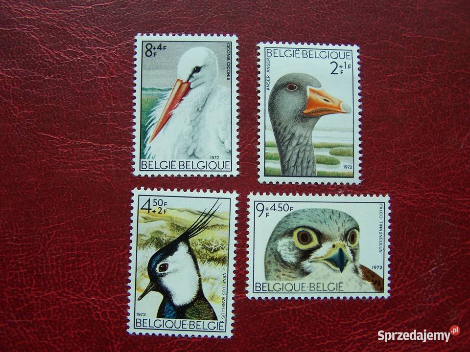 Belgia 1972 MNH Mi 170609 Fauna Ptaki Tychy sprzedam