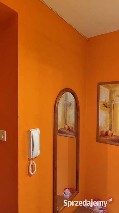 Sympatyczne 2 pok 43m2 parter os BIAŁOSTOCZEK Liczba pokoi 2 Białystok