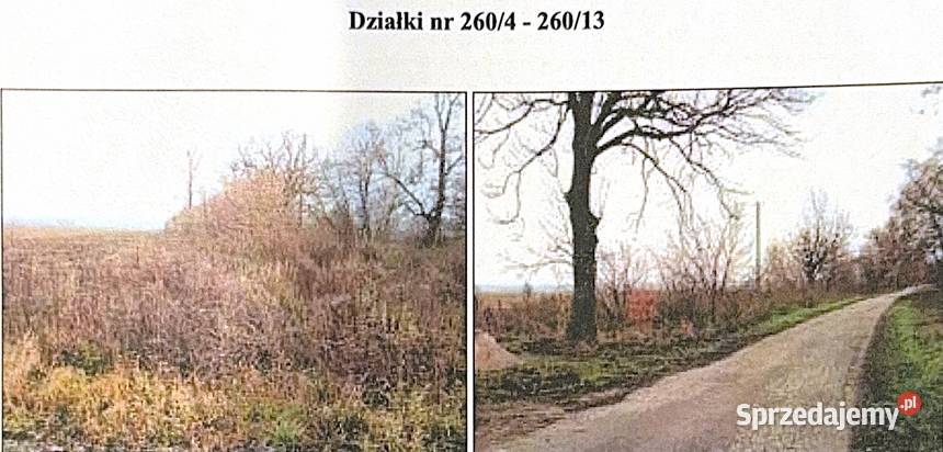 SYNDYK SPRZEDA DZIAŁKĘ Lubianków