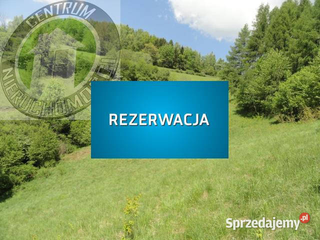 Grunt sprzedam Ochotnica Dolna 2600m2 sprzedam
