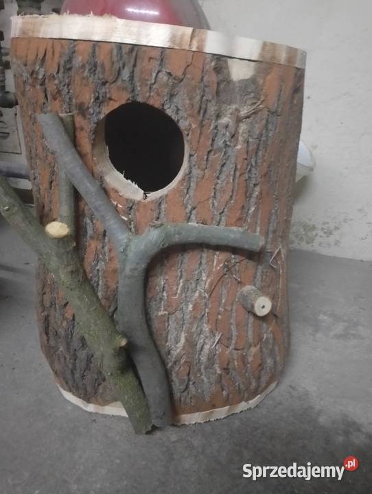 Budka lęgowa papug Wodzisław Śląski