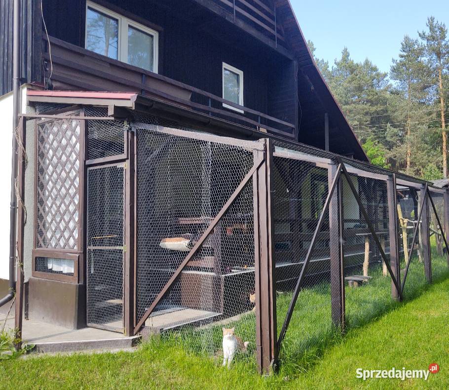 Sprzedam dom w spokojnej okolicy w otoczeniu Sprzedaż Zakącie