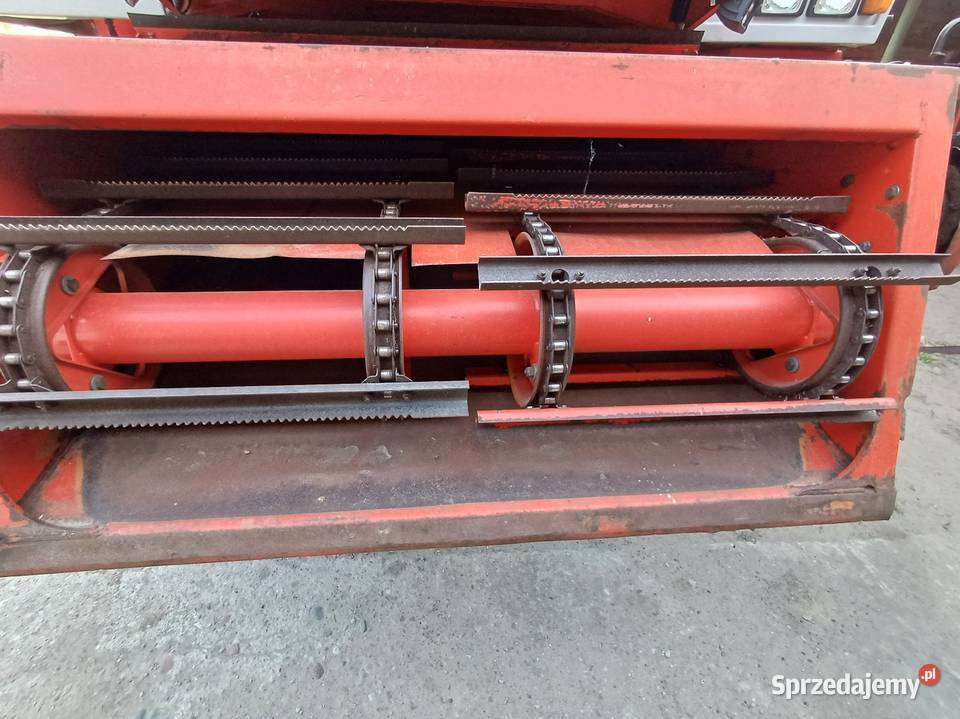 Kombajn Zbożowy Massey Ferguson 40RS Heder 6m kujawsko-pomorskie Płonne-Plebanka