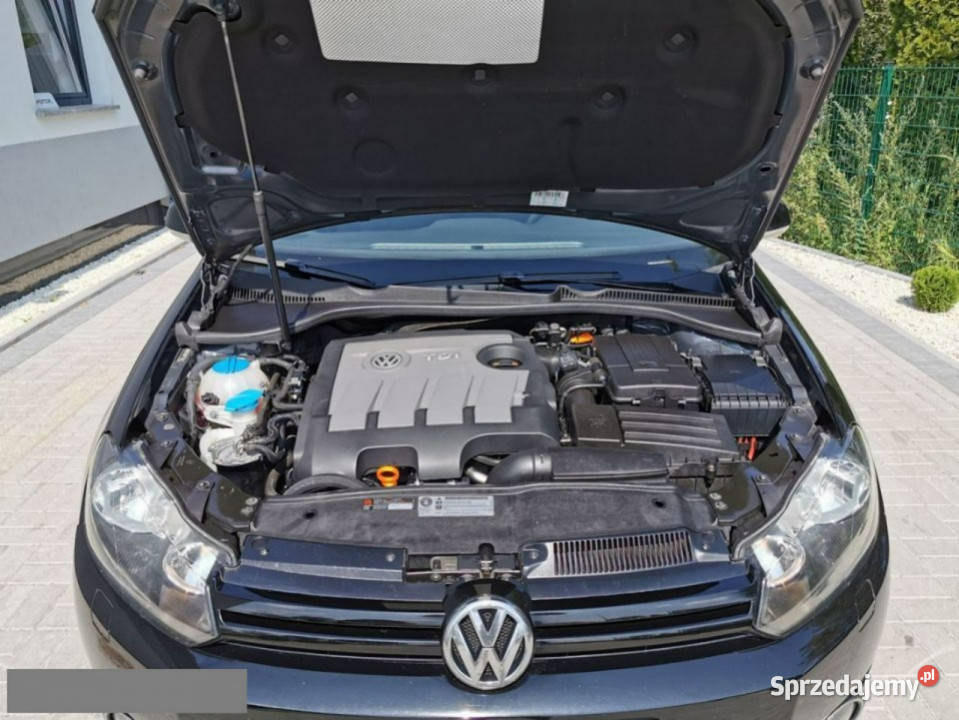 Volkswagen Golf 16 TDI CR 105 1 właściciel 105KM dolnośląskie Strzegom