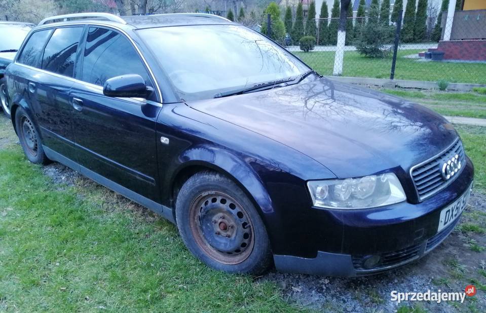 Audi a4 b6 avant anglik Audi podkarpackie