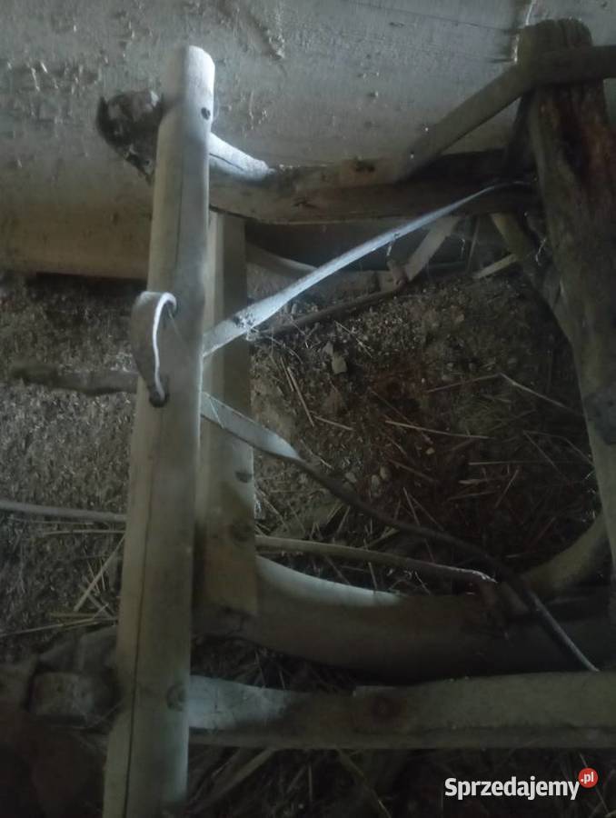 Sanie konne zabytkowe Grodzisko