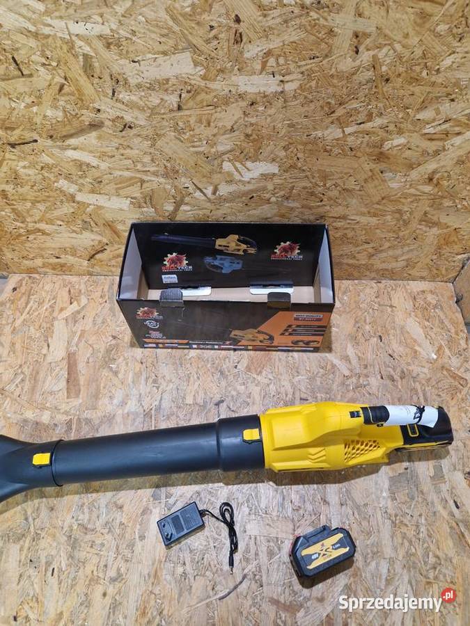 DMUCHAWA AKUMULATOROWA ODKURZACZ DO LIŚCI ŚNIEGU Głogowa