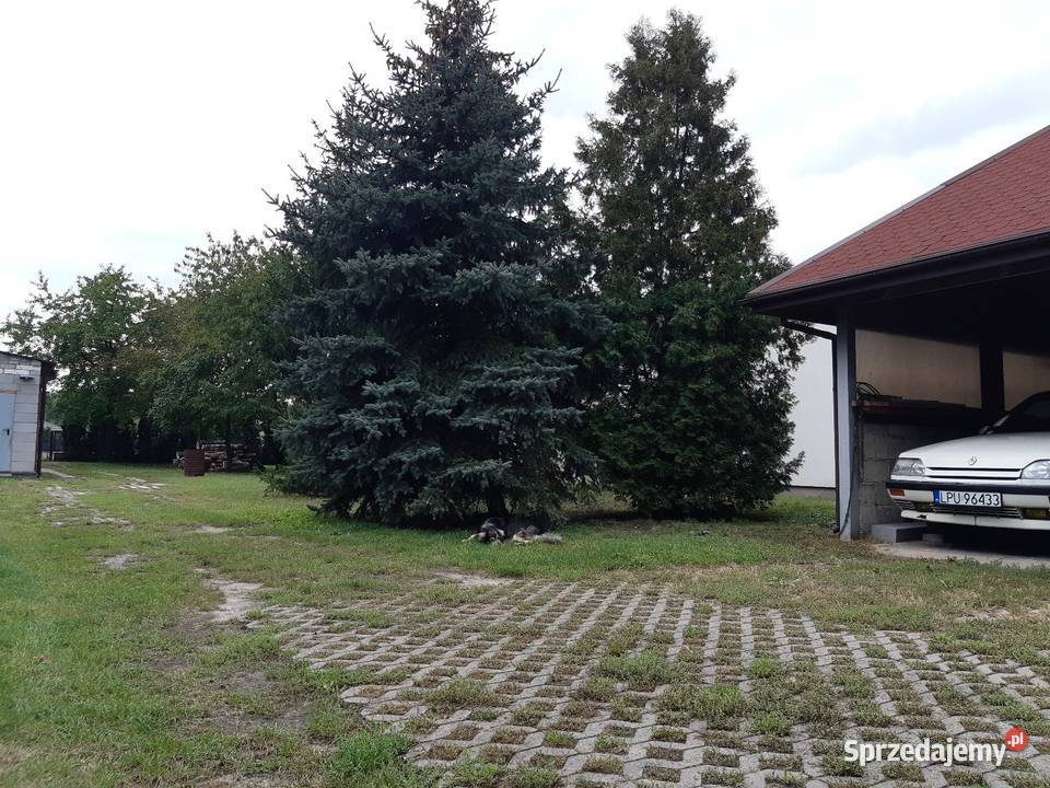 Działka z bydynkami k Puław Bronowice