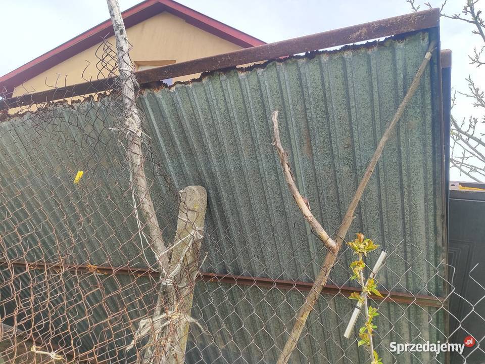 Garaż z bramą uchylaną Dębówka