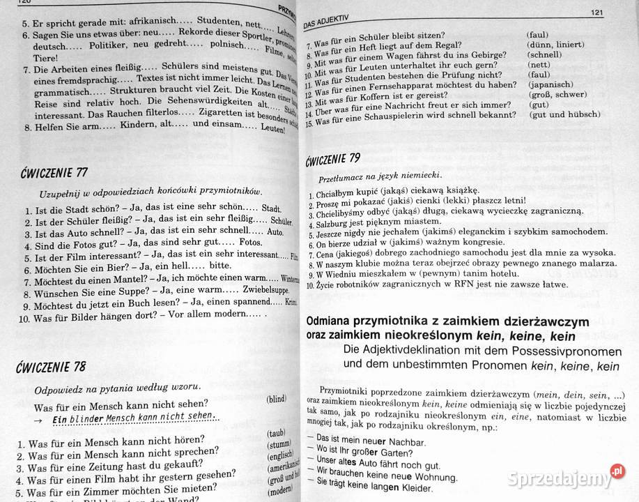 Nowe repetytorium z gramatyki języka Chełm