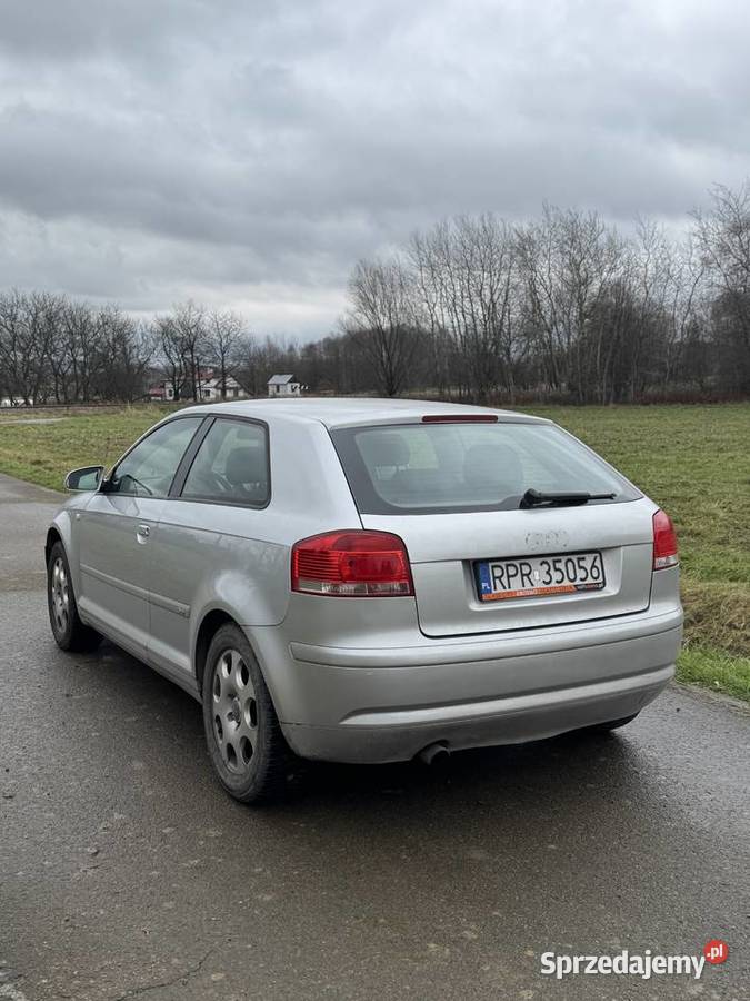 Audi A3 8P 16 MPI Krosno