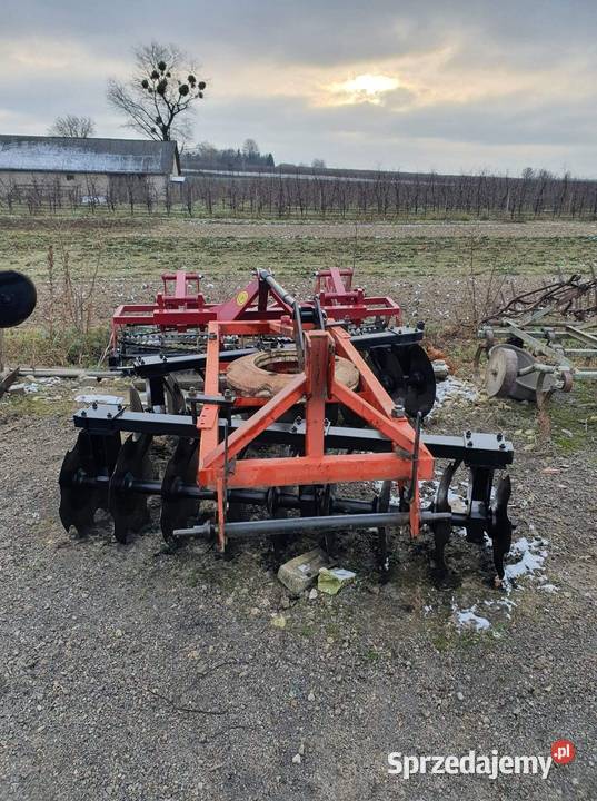 Talerzówka Ignasin sprzedam