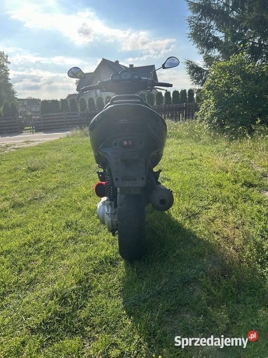 Peugeot speedfight 100 Peugeot Resko